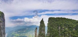 蜂王救援